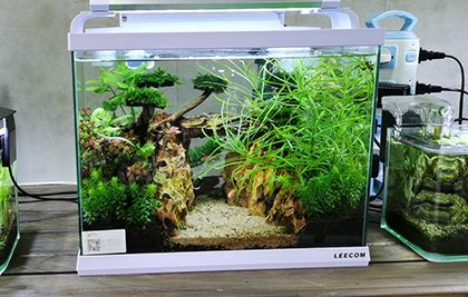 廣州圓形錦鯉生態(tài)魚缸造景 問初為您打造流動(dòng)的東方詩意畫卷